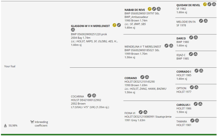 2020 Glasgow x Cocarina pedigree