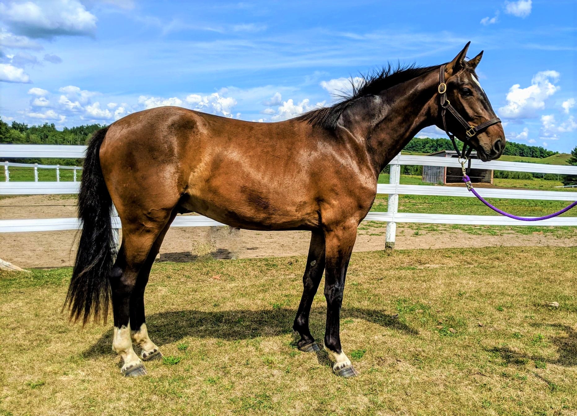 Geronimo 8.01.2020 (3)