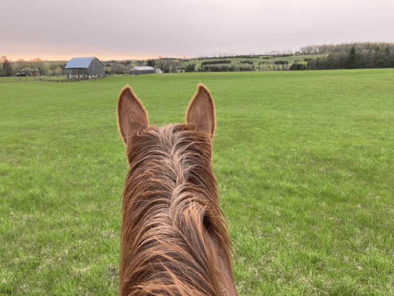 Best way to end a busy&nbsp;day